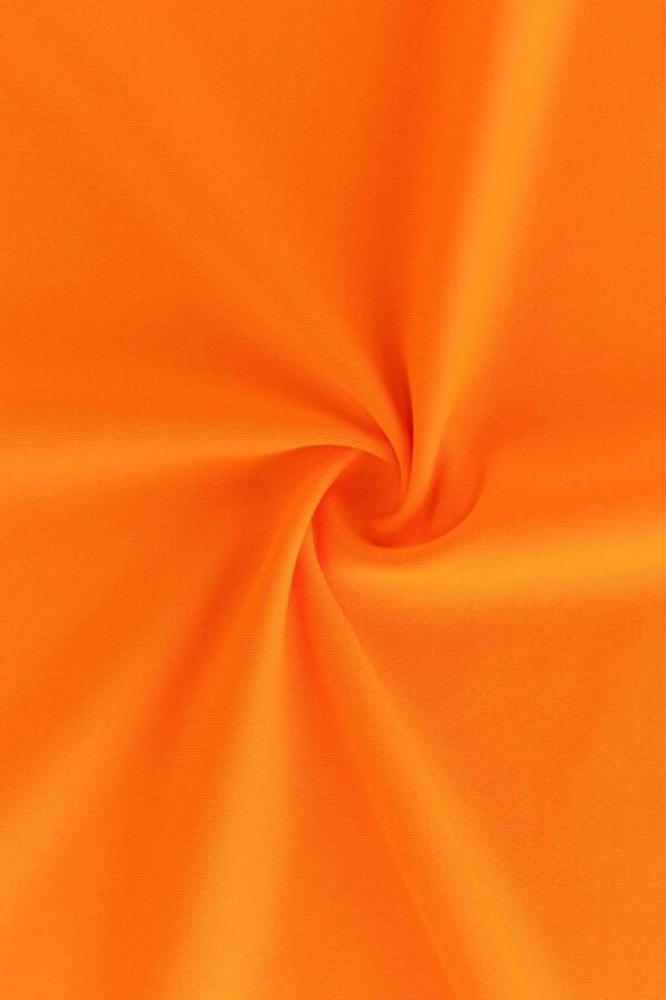 Full Matte Lycra Fish Scale Fabric with Polygiene Antibacterial(78%Polyester  22%Lycra 165gsm)