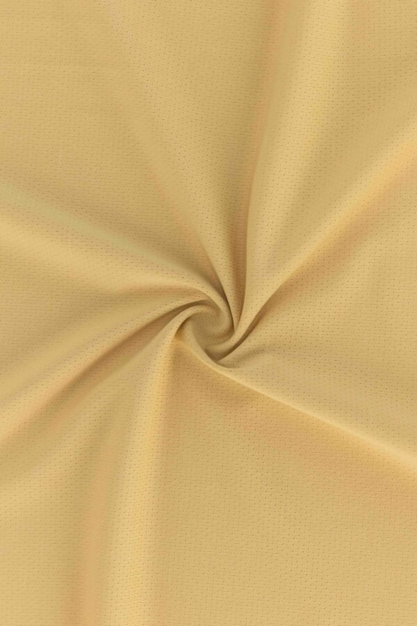 Matte Nylon Lycra Mesh Stretch Fabric ( 89% Nylon 11% Lycra 160gsm)