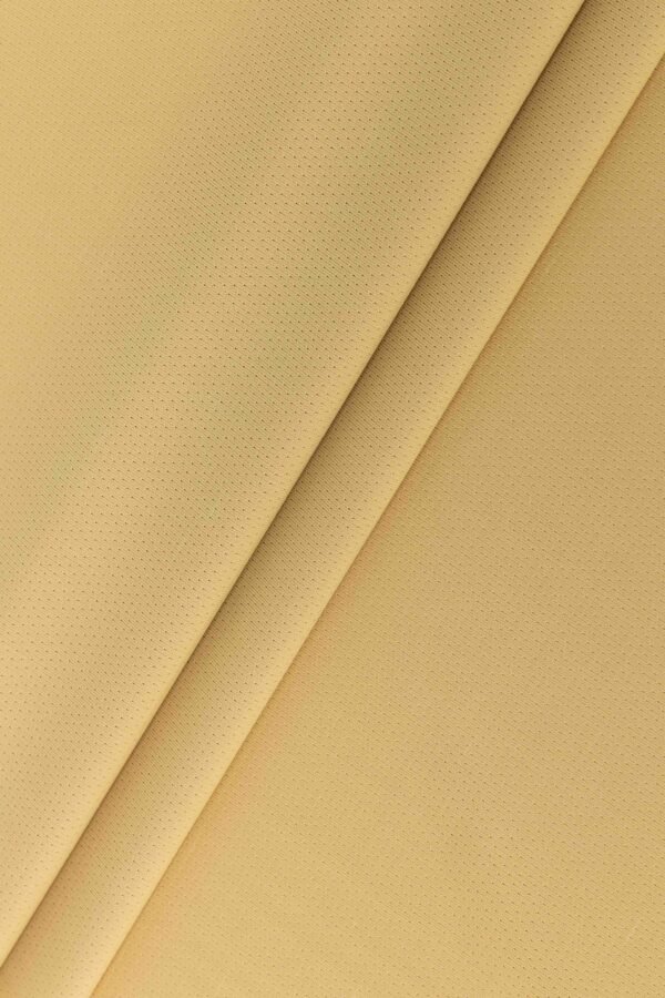 Matte Nylon Lycra Mesh Stretch Fabric ( 89% Nylon 11% Lycra 160gsm) - Image 2