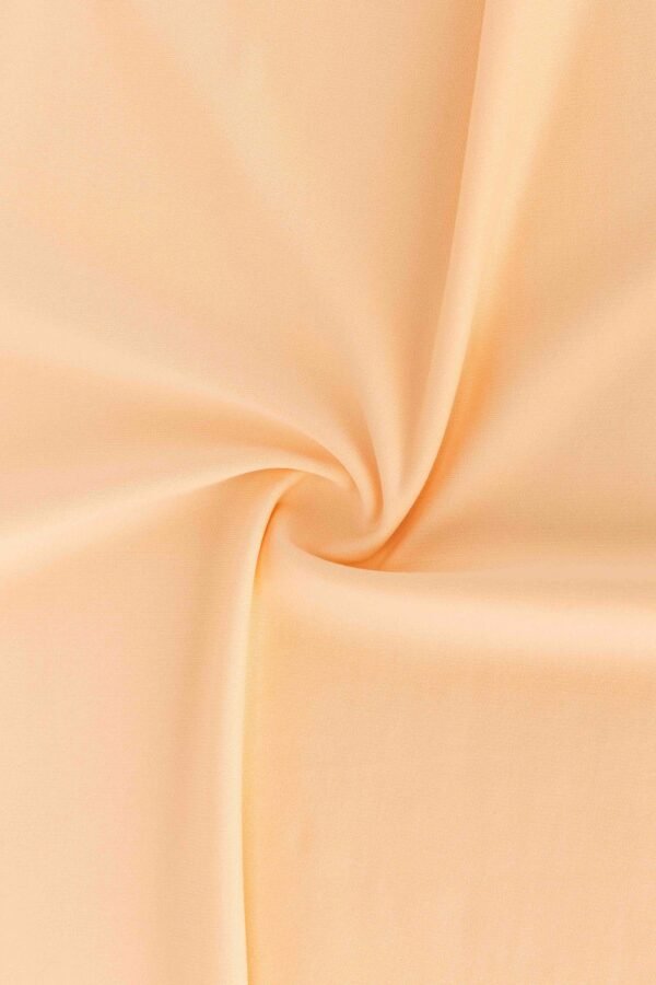Full Matte Nylon PLA Fish Scale Stretch Fabric（53%Nylon 28%Polyester Acid-PLA 19%Spandex 140gsm)
