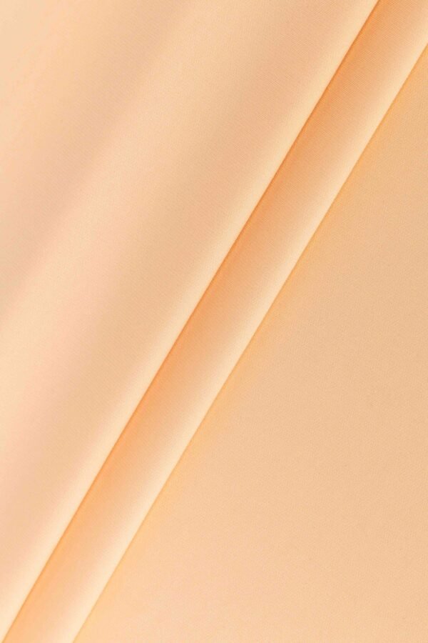 Full Matte Nylon PLA Fish Scale Stretch Fabric（53%Nylon 28%Polyester Acid-PLA 19%Spandex 140gsm) - Image 2