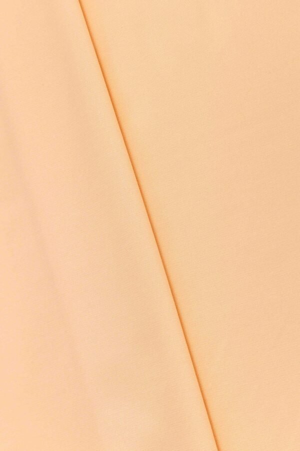 Full Matte Nylon PLA Fish Scale Stretch Fabric（53%Nylon 28%Polyester Acid-PLA 19%Spandex 140gsm) - Image 3
