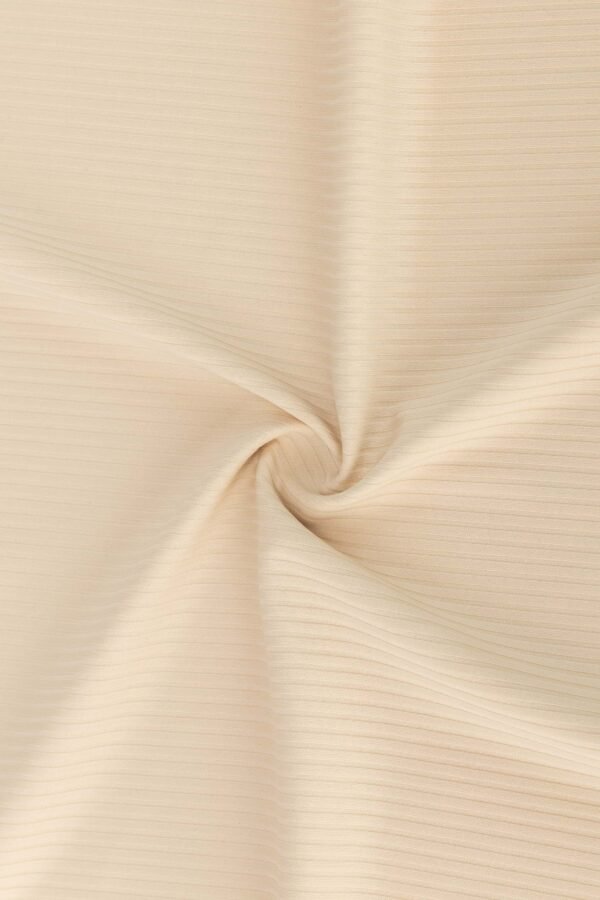 Full Dull Nylon Lycra Ottoman Stretch Fabric – Brushed Surface(79% Nylon 21% Lycra 190gsm)JM-SN4241LM (5)